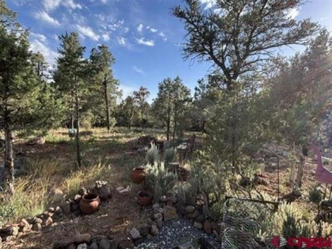 Photo of 24888 Timothy Road, Cedaredge, CO 81413 (MLS # 839985)