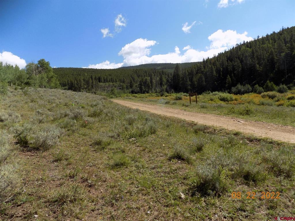 #TBD USFS RD 763 Road