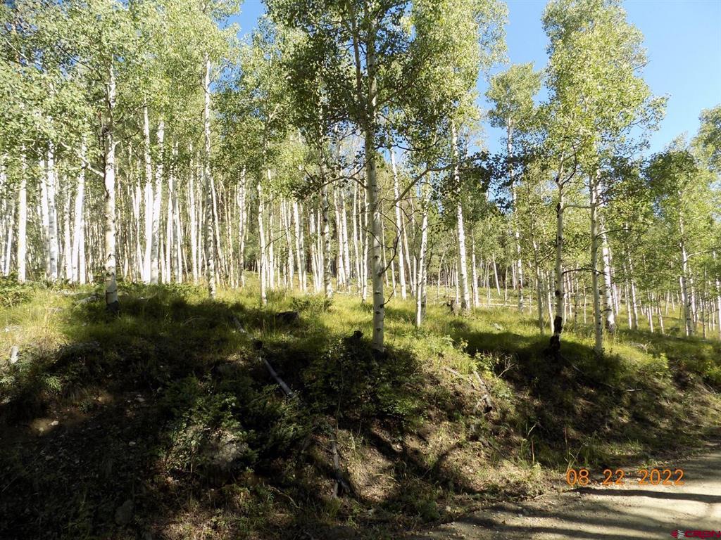 #TBD USFS RD 763 Road