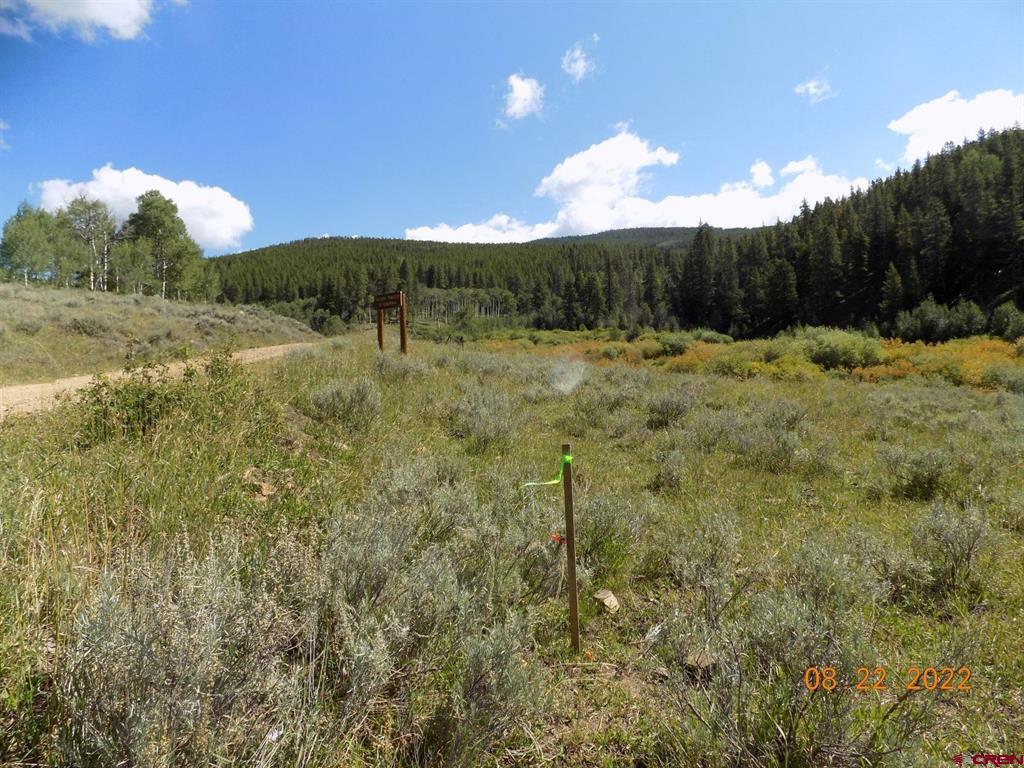 #TBD USFS RD 763 Road