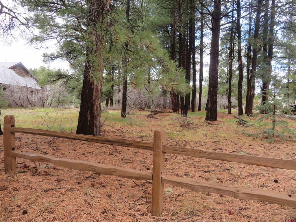 Photo 1 of 11 — 275 Beaver Circle, Pagosa Springs, CO 81147