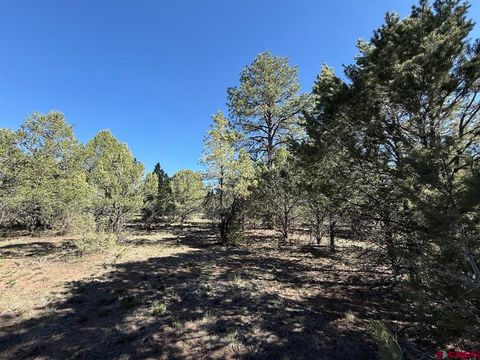 Photo of 5 Cottontail Lane, Ridgway, CO 81432 (MLS # 834579)