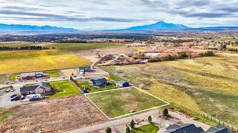 24764 Road S.85 Dolores CO 81323