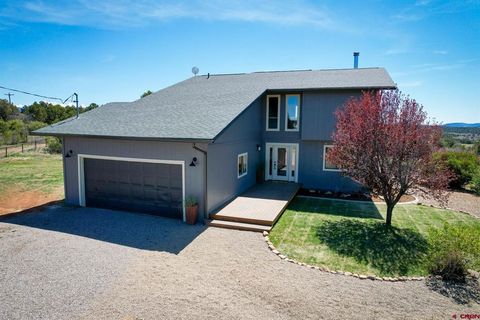 35066 Highway 184 Mancos CO 81328