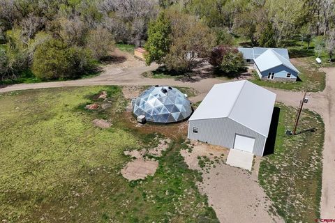 Photo of 19275 State Hwy 151, Pagosa Springs, CO 81147 (MLS # 833656)