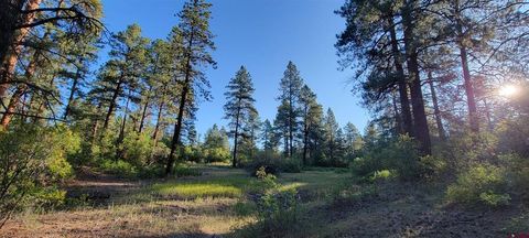 Lot 5 Beaver Creek Ranch Dr Bayfield CO 81122