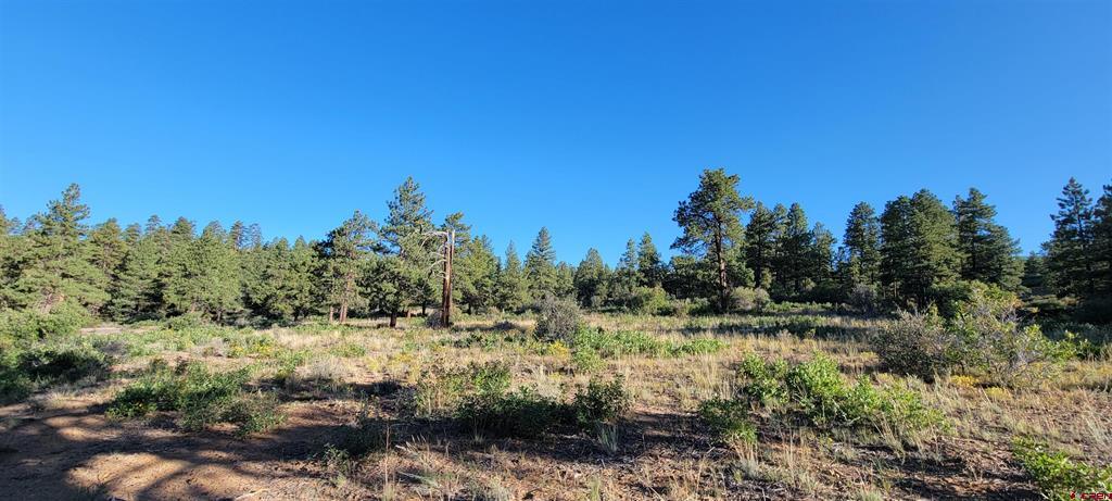 Lot 5 Beaver Creek Ranch Dr