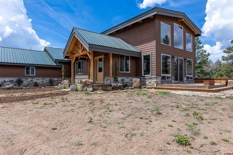 3950 County rd 600 Pagosa Springs CO 81147