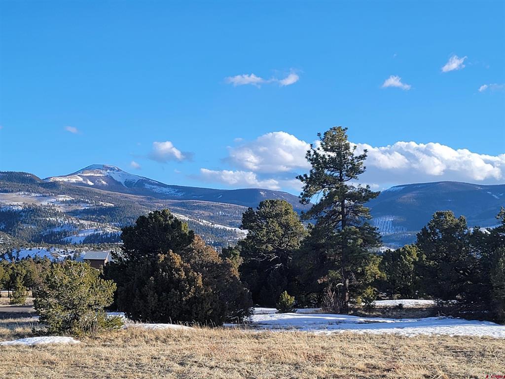 Photo 1 of 21 — 4413 Bear Creek Circle, South Fork, CO 81154