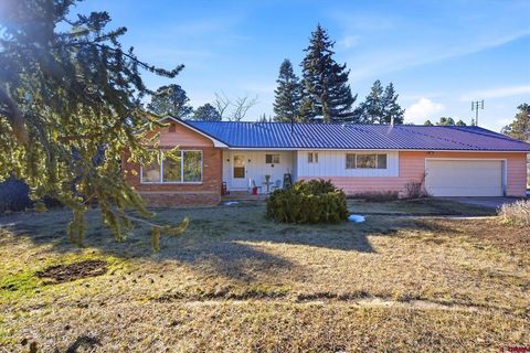 21121 Highway 140 Hesperus CO 81326