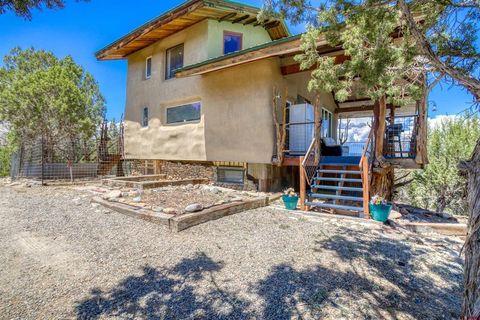 261 Pinon Hills Circle Arboles CO 81121