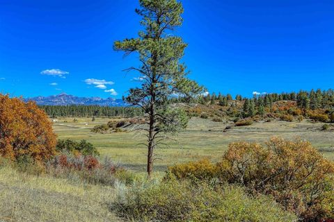 73 & 7110H Parelli Institute Dr. W  US Hwy 160 Pagosa Springs CO 81147