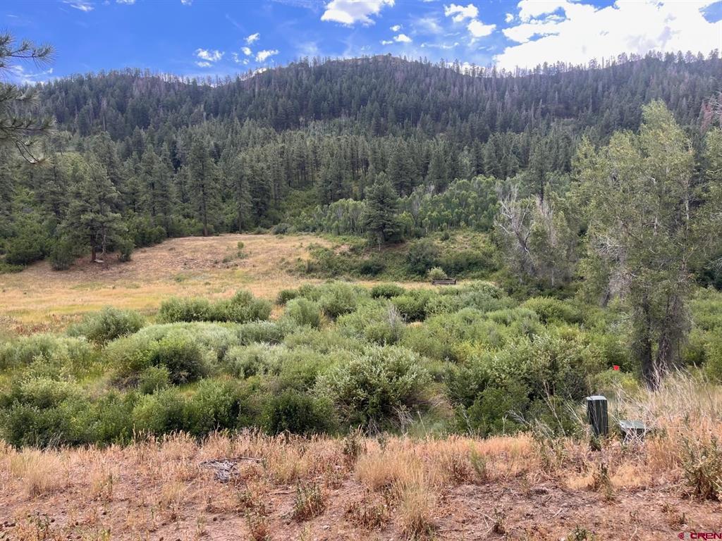 3230 Bear Creek Road