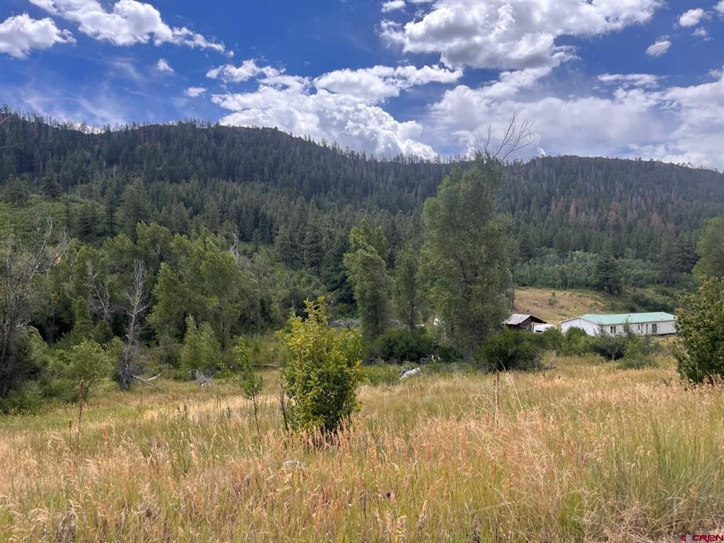 3230 Bear Creek Road