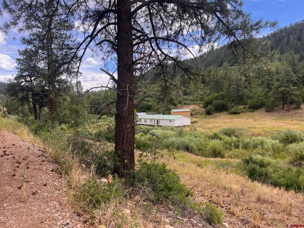 3230 Bear Creek Road