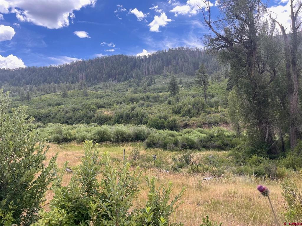 3230 Bear Creek Road