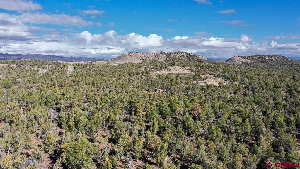 TBD Green Shadows Road