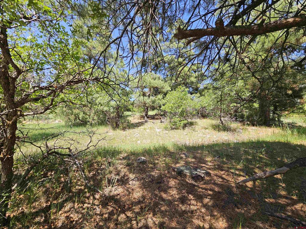 Photo 1 of 41 — 344 & 360 Caddy Circle, Pagosa Springs, CO 81147