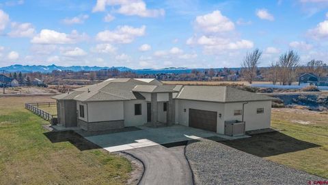 Photo of 3802 Aspen Grove Lane, Montrose, CO 81401 (MLS # 830759)