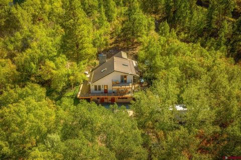 100 County Road 253 Durango CO 81301