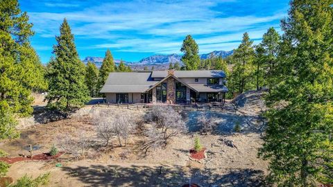 133 W Arbol Park Drive Pagosa Springs CO 81147