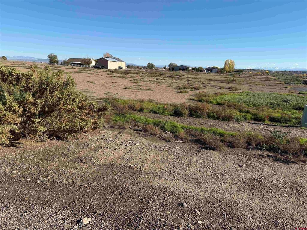 1162 Wildcat Lane