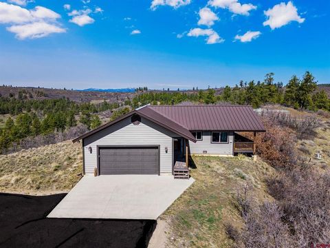 Photo of 317 Clint Circle, Pagosa Springs, CO 81147 (MLS # 833383)