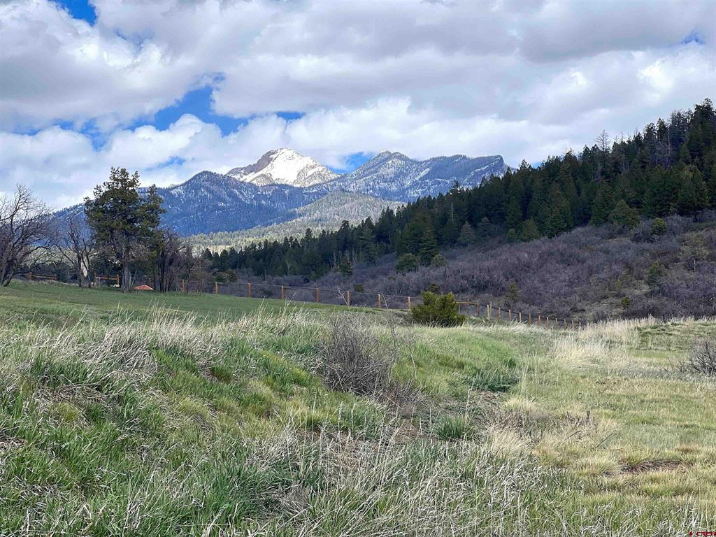 Photo 1 of 15 — 1121 Roush Drive, Pagosa Springs, CO 81147