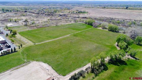TBD TBD Lot 4-D Montrose CO 81401