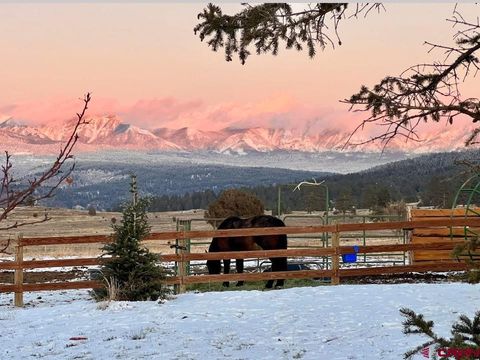 2439 County Road 359 Pagosa Springs CO 81147