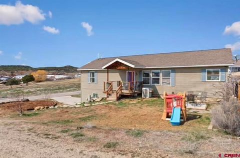 1330 Homestead Drive Bayfield CO 81122