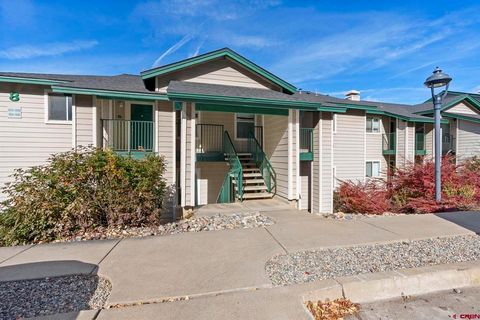 1100 Goeglein Gulch Road 233 Durango CO 81301