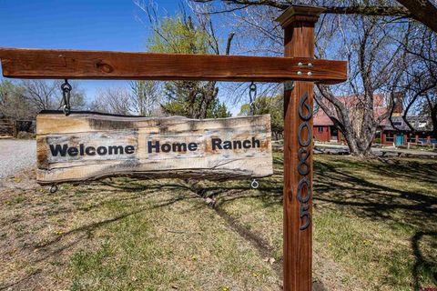 60805 Oasis Road Montrose CO 81403