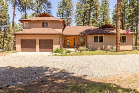 386 Wieland Drive Bayfield CO 81122