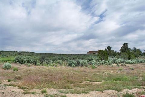 Lot 7 Road K.3 Cortez CO 81321