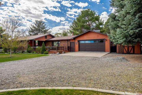 66141 Juniper Court Montrose CO 81403