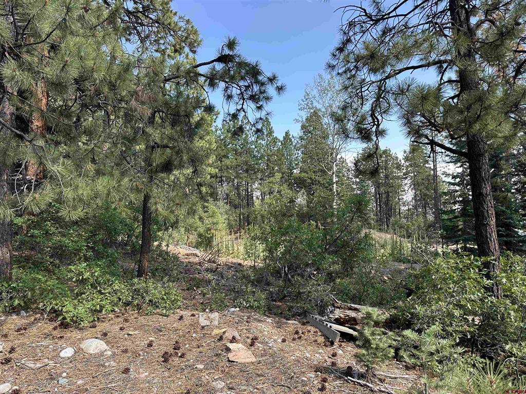 Photo 1 of 25 — 186 Pine Ridge, Bayfield, CO 81122