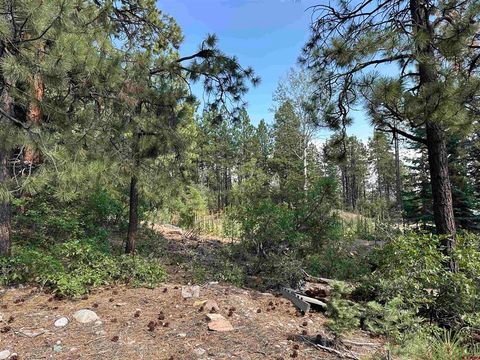 186 Pine Ridge Bayfield CO 81122