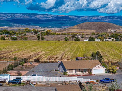 20465 Iris Road Austin CO 81410