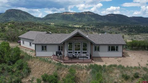Photo of 767 Henry's Lake Drive, Pagosa Springs, CO 81147 (MLS # 831432)