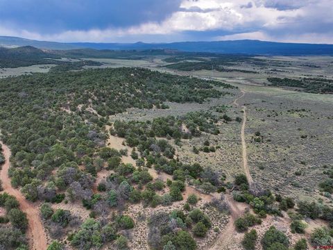 TBD Highway 84 Tierra Amarilla CO 87575