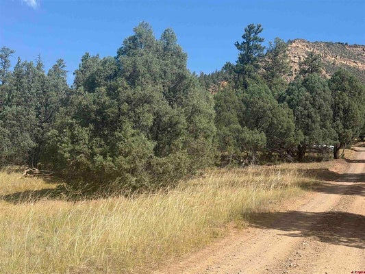 CALDERWOOD PL, PAGOSA SPRINGS, CO 81147 - Image eb07d2fba059c8fae8493d421236ee23/1541809747
