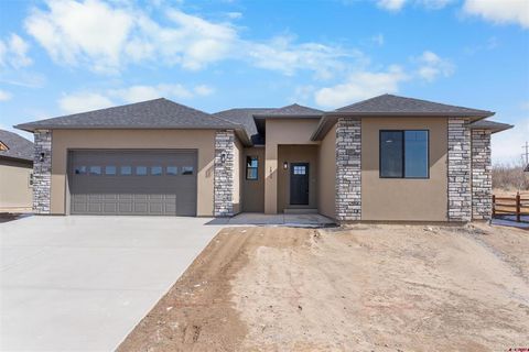 Photo of 1539 Criterion Street, Delta, CO 81416 (MLS # 831935)