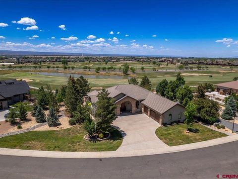 2691 Red CLiff Circle Montrose CO 81401