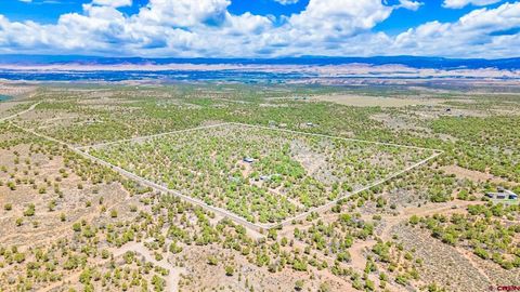 Photo of 61020 Tres Coyote Trail, Montrose, CO 81403 (MLS # 834726)