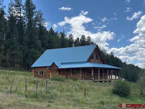 569 Bear Creek Circle Bayfield CO 81122