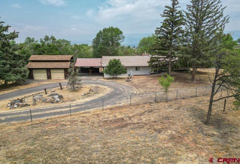 Photo of 14551 Highway 65, Eckert, CO 81418 (MLS # 836921)