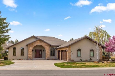 Photo of 2691 Red Cliff Circle, Montrose, CO 81401 (MLS # 833342)