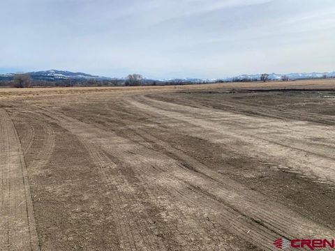 Photo of 7 Teton Court, Montrose, CO 81401 (MLS # 834142)
