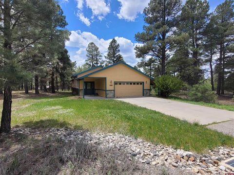 Photo of 2009 Lake Forest Circle, Pagosa Springs, CO 81147 (MLS # 834820)